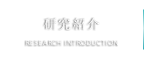 研究紹介